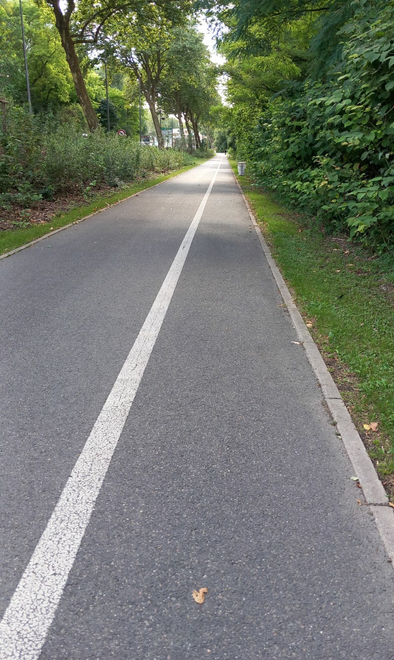 Boucle sur l'Île de Torcy - Torcy
