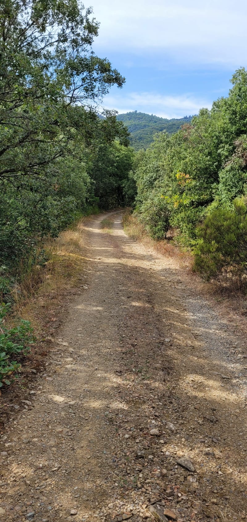 Plongez dans un circuit de verdure ! - Ferrières-Poussarou