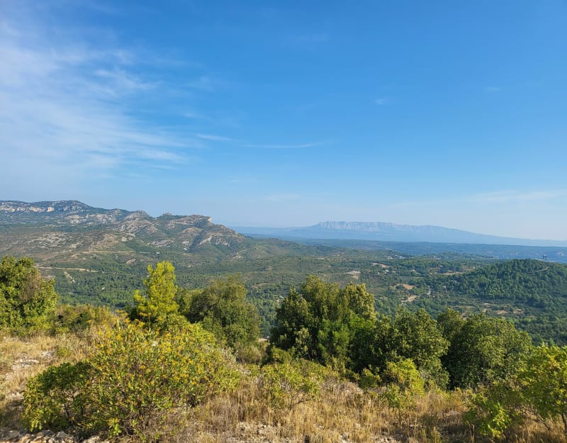 Dans les hauteurs depuis Saint-Julien - Marseille