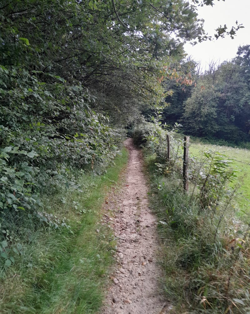 Balade à Chaponnay et Bois de Sarvanay - Chaponnay