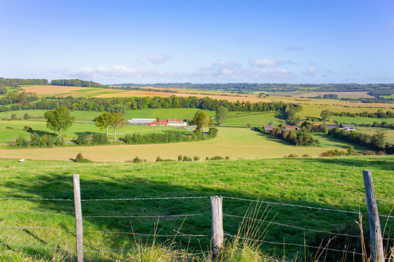 Tournehem vue sur Guémy, entre champs, bosquets et rivière - Tournehem-sur-la-Hem