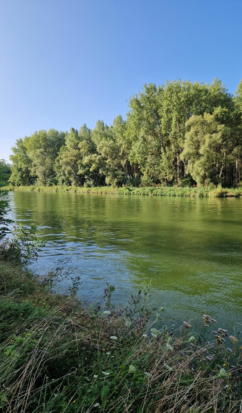 Entre le canal de la Sensée et le canal du Nord - Aubigny-au-Bac