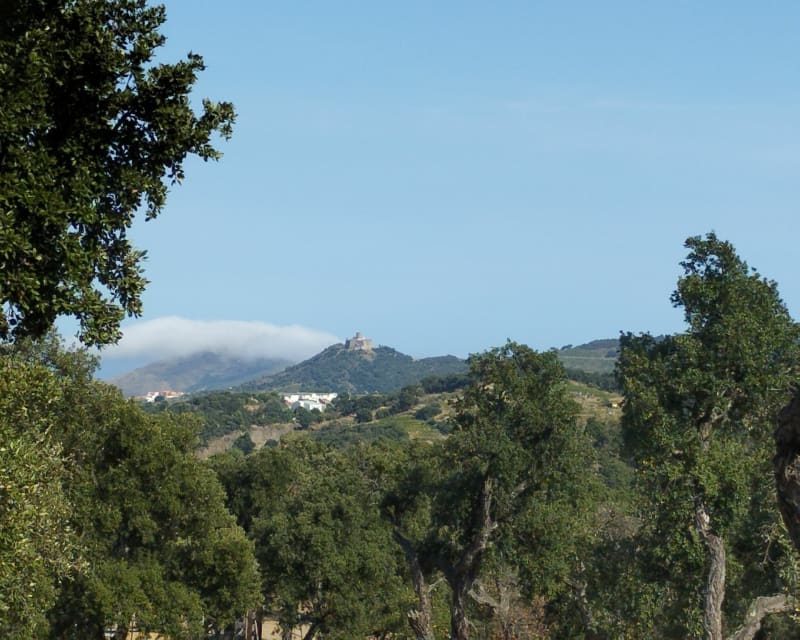 De Racou aux criques de Collioure - Argelès-sur-Mer
