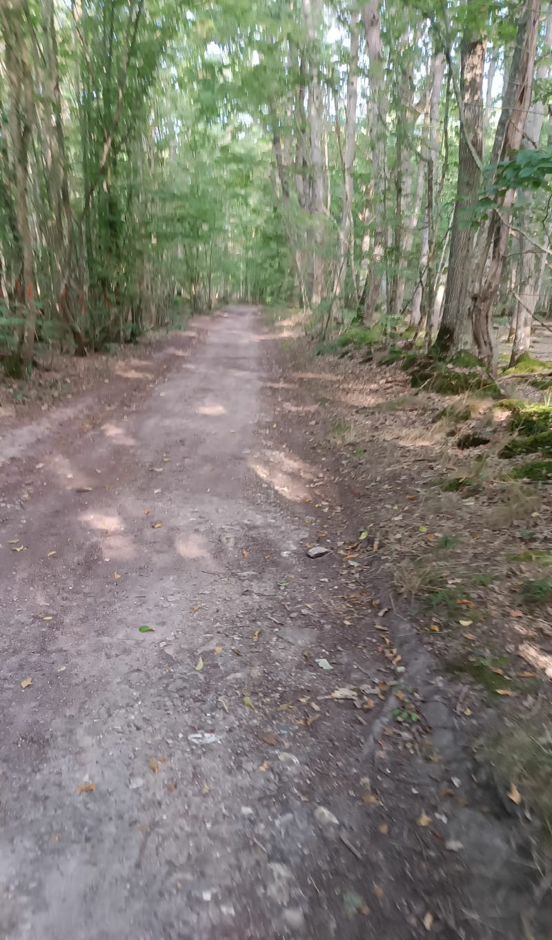 Boucle forestière autour des Nonains - Rouvres