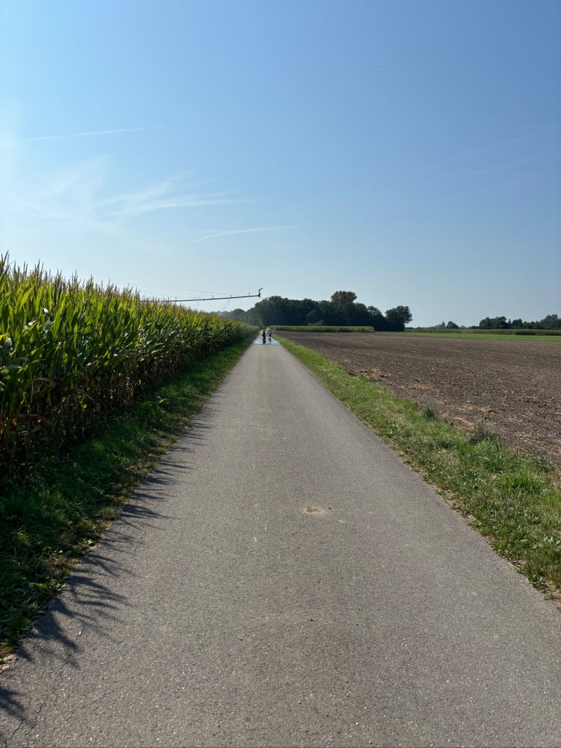 Petit tour autour de Schoenau - Schœnau