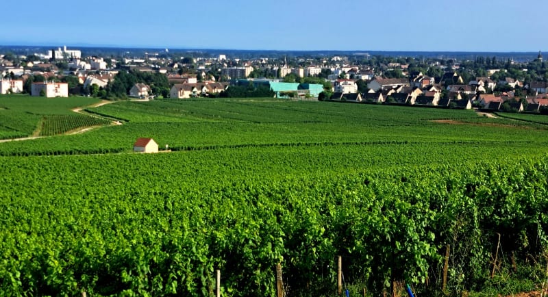 Au détour des chemins  Beaunois - Beaune
