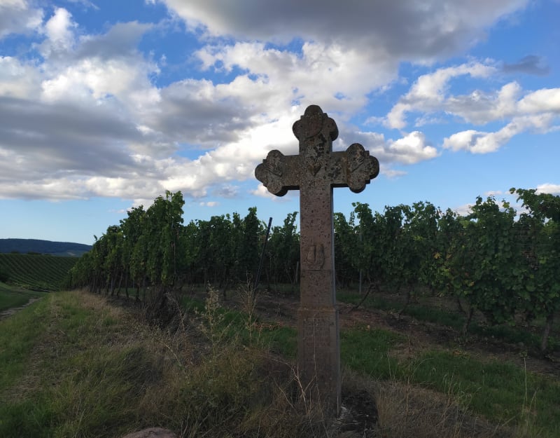 Sentier des croix depuis Traenheim - Traenheim