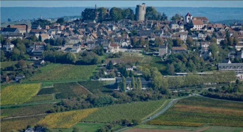 Forêt de Vinon, par la Pierre Coupilière - Sancerre