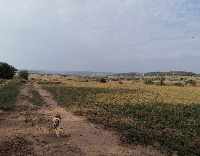 Petit tour bucolique sur les Hauteurs de Donzy - La Vineuse sur Fregande