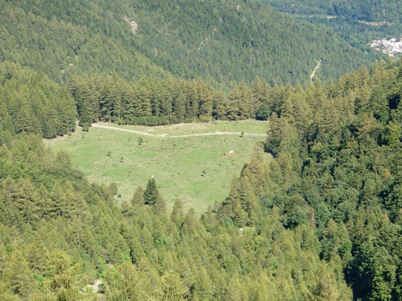 Le plateau de la Salette et de la Vacherie - La Salette-Fallavaux