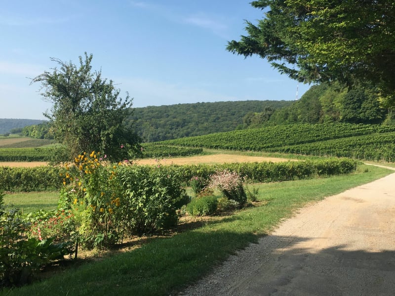 Agréable petite balade à Concoeur - Nuits-Saint-Georges