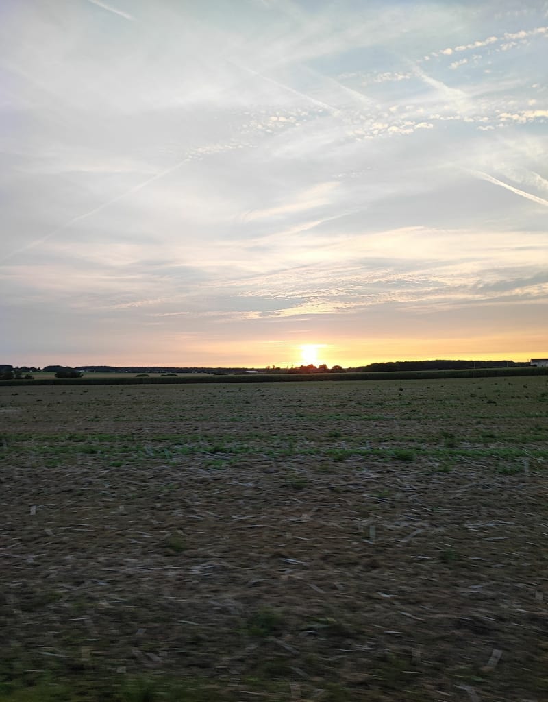 Tour dans les champs autour d'Orsay - Orsay