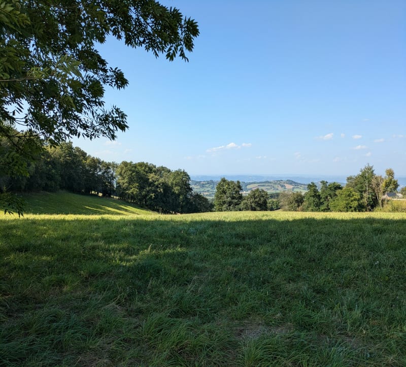 Entre prés et forêts autour du Buenne - Clairvaux-d'Aveyron