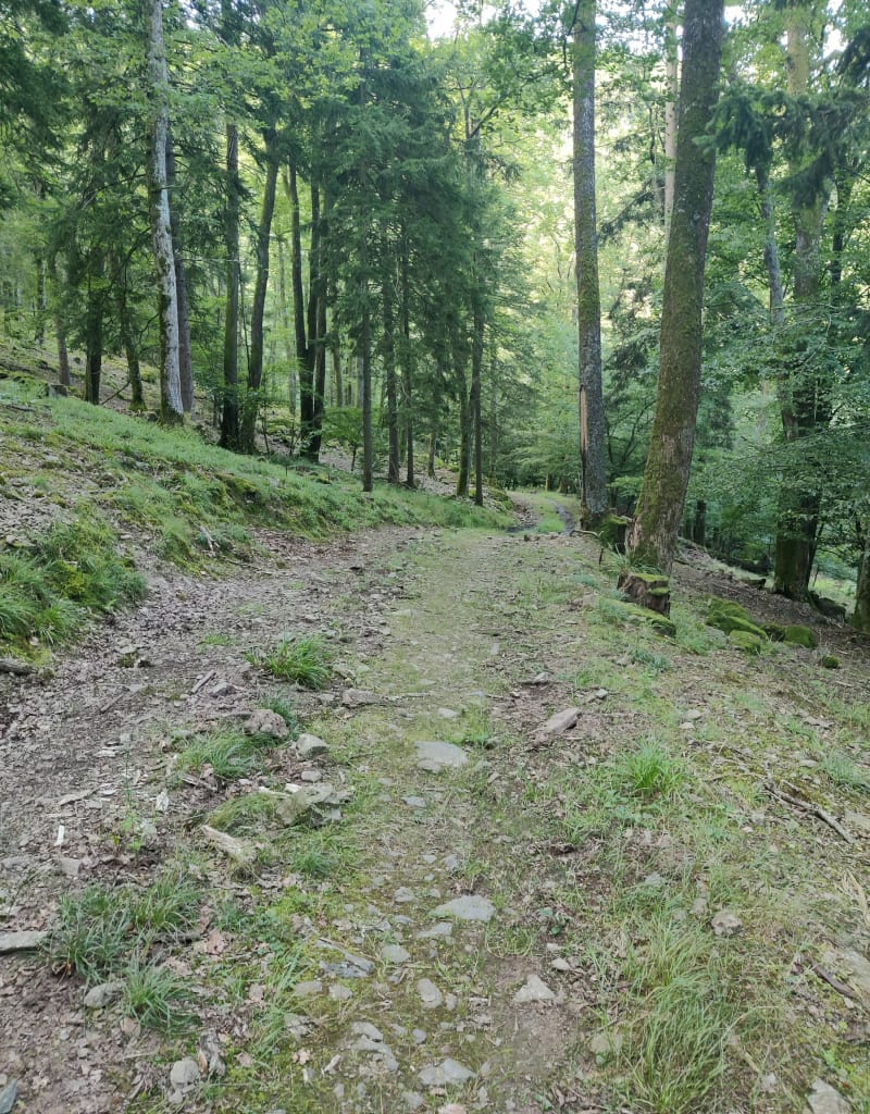Sur les hauteurs de Russ, par Marbrière - Russ