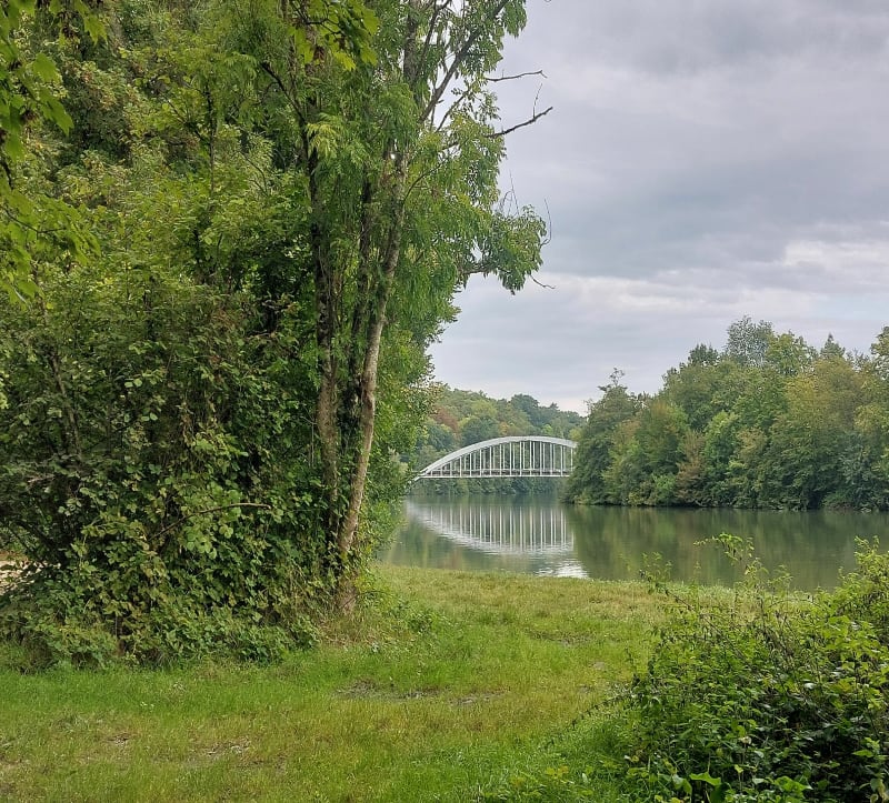 Petite balade par bois Violent - Moret-Loing-et-Orvanne