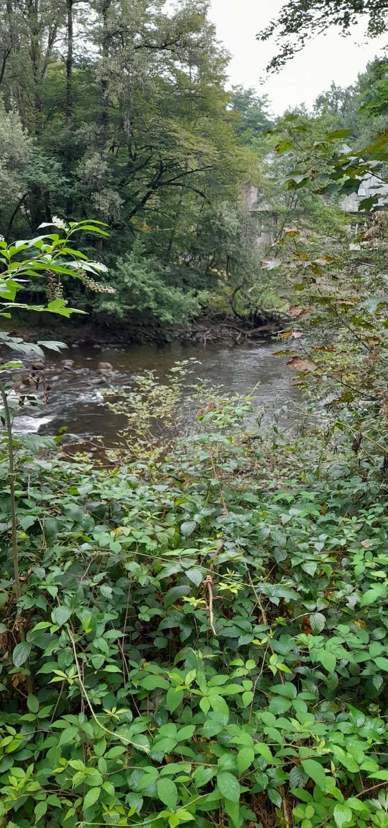 Boucle de Malemort à Dampniat et bords de Corrèze - Malemort