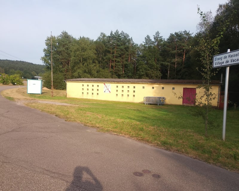 Étang de Hasselfurth et le Hochkopf - Bitche