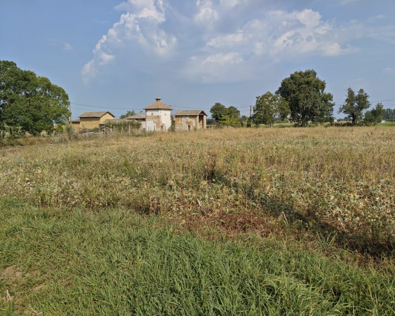 Entre Dombes et Saône - Villeneuve