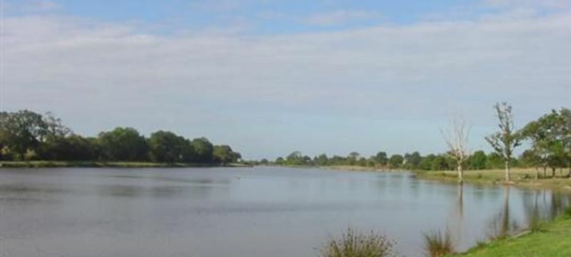 Étang Machecoul - Machecoul-Saint-Même