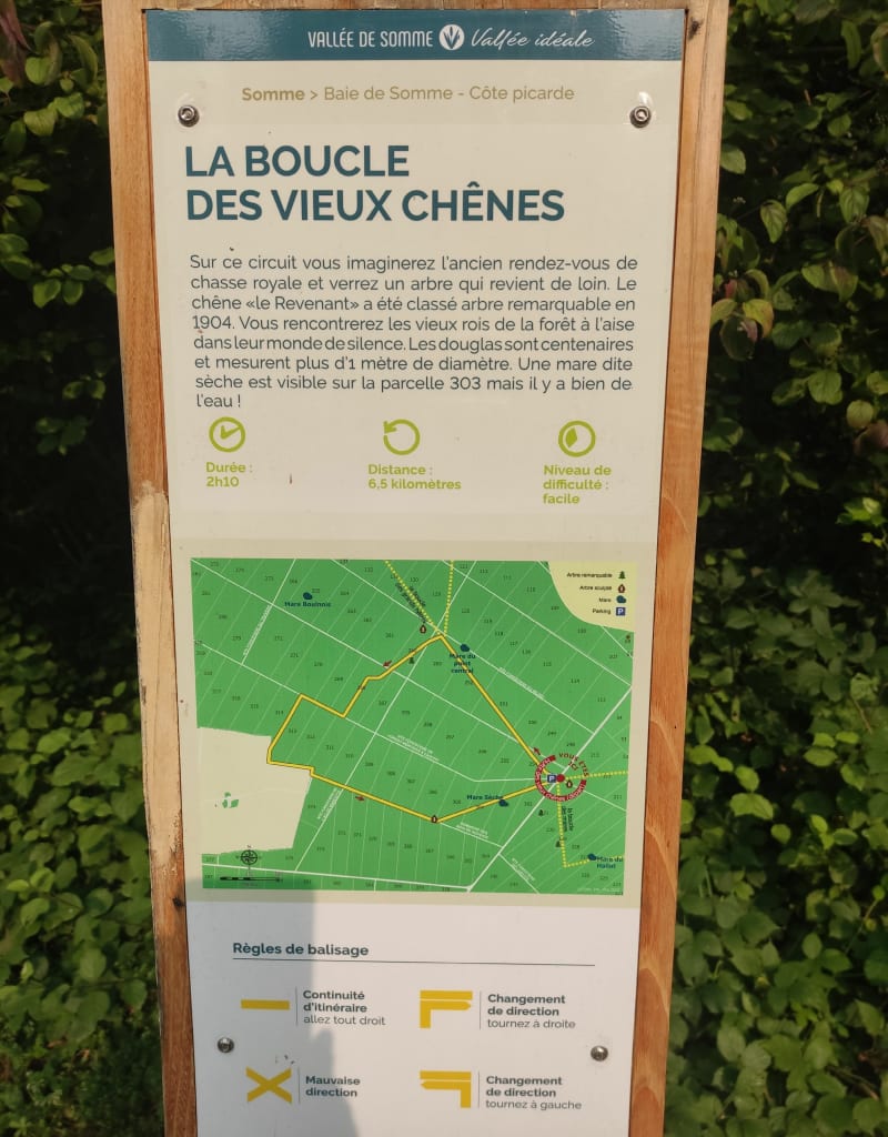 La boucle des Vieux Chênes - Crécy-en-Ponthieu