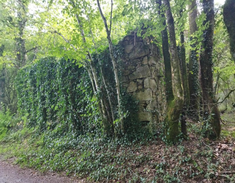 Randonnée du Pilard - Neuvic