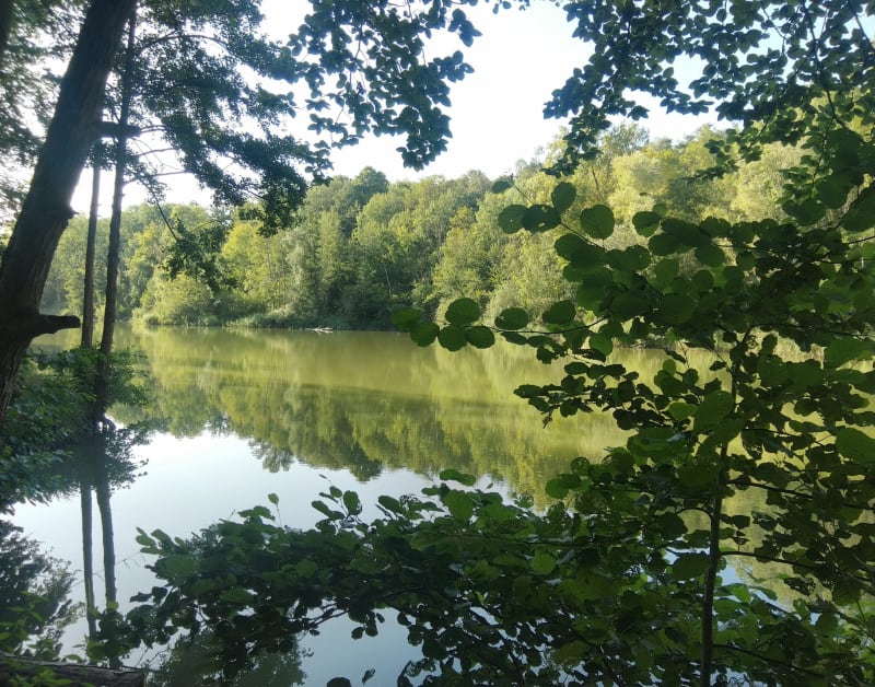 Pont de l'Isle Adam et Forêt de Carnelle - Beaumont-sur-Oise