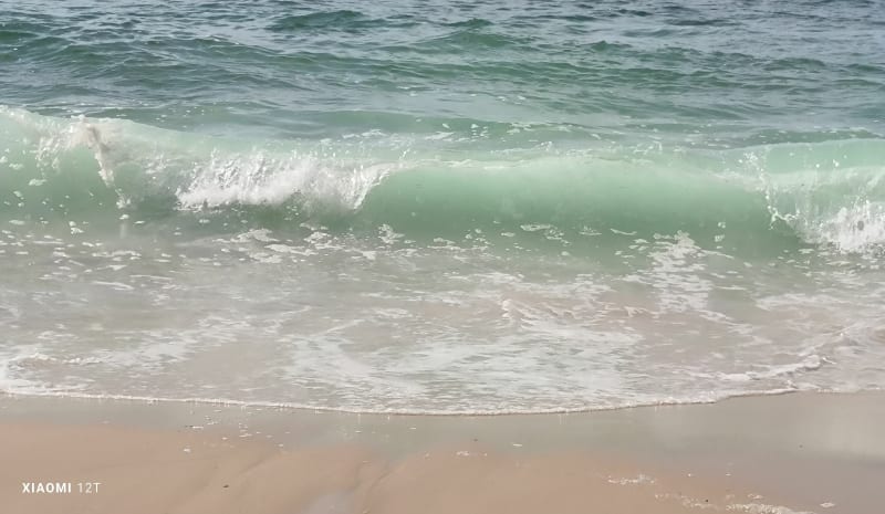 Balade entre forêt et plage à Biscarosse - Biscarrosse