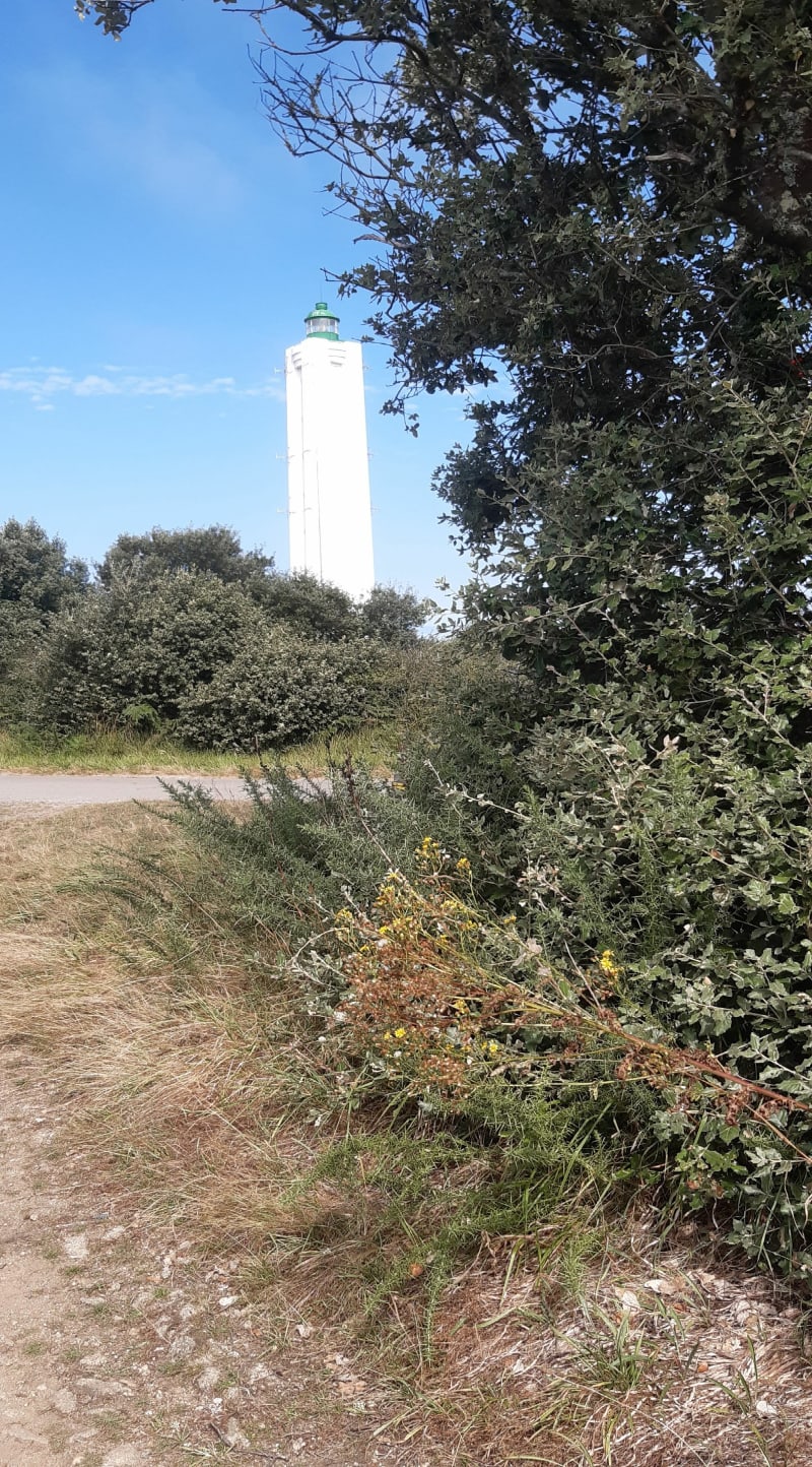 Les plages du sud-ouest de l'île depuis Ker Chauvineau - L'Île-d'Yeu
