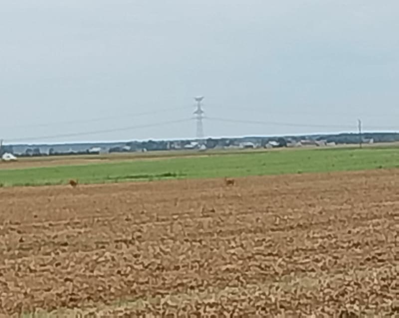 Randonnée autour de pithiviers le vieil - Pithiviers-le-Vieil