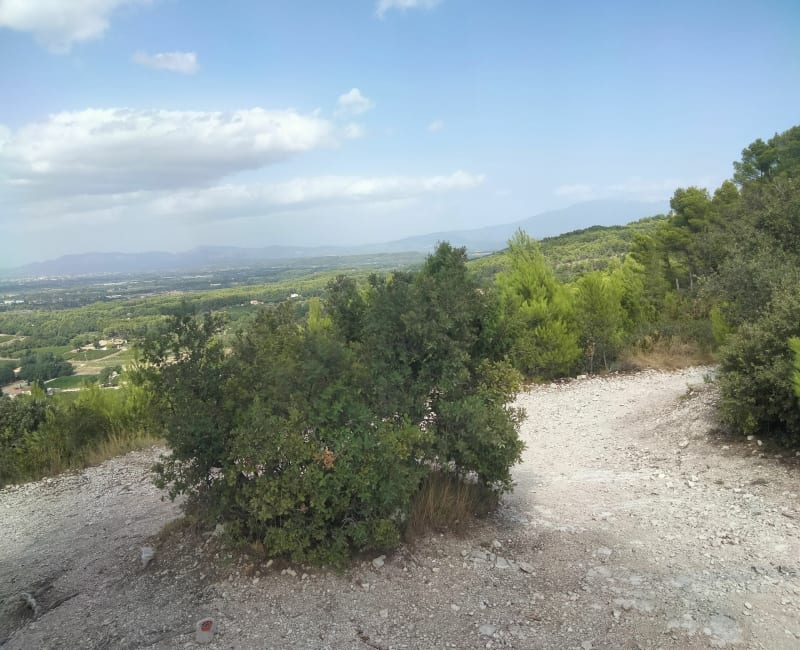 Sur les hauteurs de Saint Antoine - Le Thor
