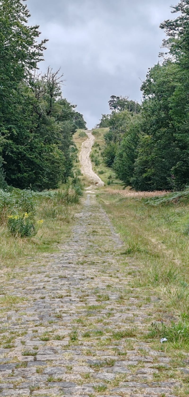 Tour du petit mont Chauvet à Fontainebleau - Fontainebleau