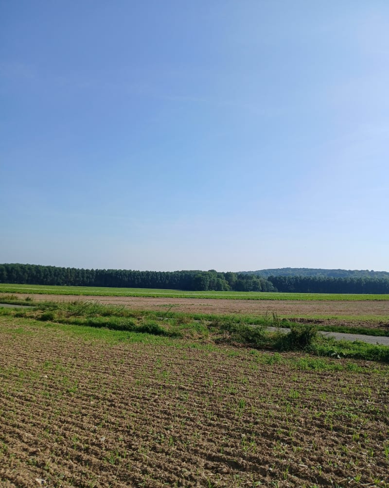 Saint-Gratien et les Couturelles - Saint-Gratien