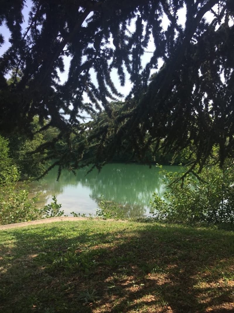 Champillon-Dormans Aller-retour - Champillon