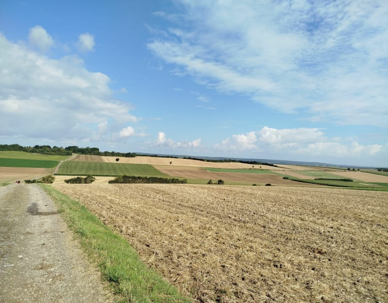 Boucle au village de Moulle - Moulle