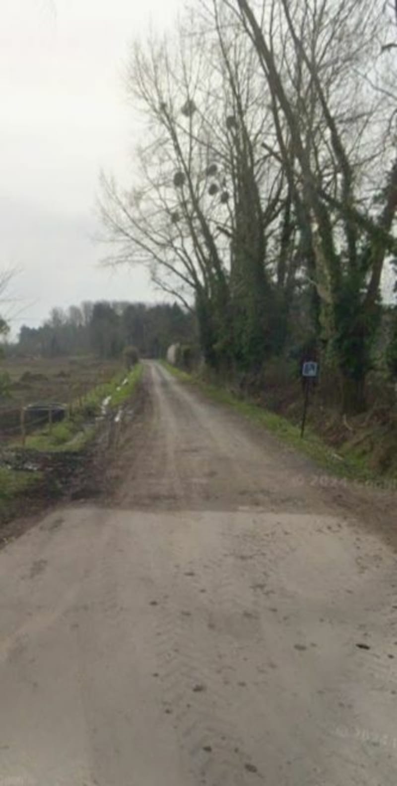 Le chemin des huttiers depuis Saint Quentin en Tourmont - Saint-Quentin-en-Tourmont