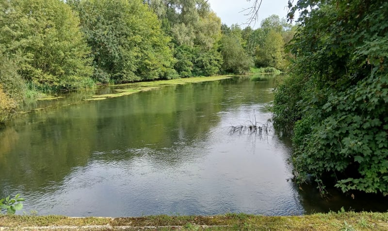 Balade lac et sous-bois autour de Cepoy - Corquilleroy
