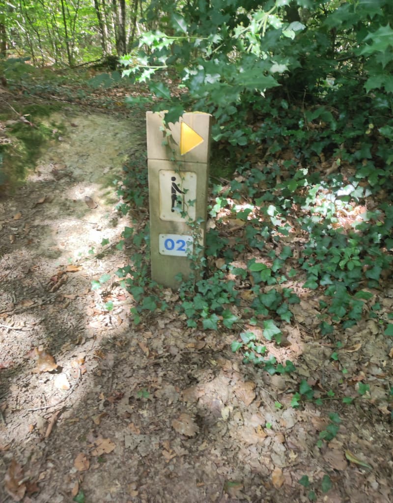 Sentier de l'hébergement - Essarts-en-Bocage