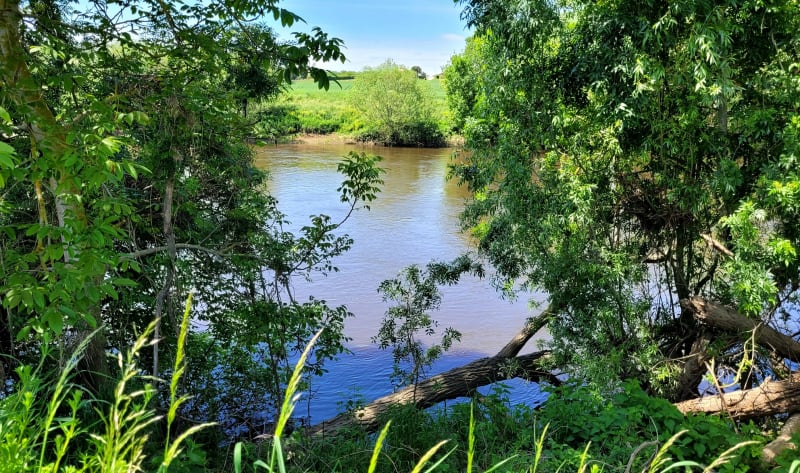 Balade en campagne le long de la Vienne - Dangé-Saint-Romain