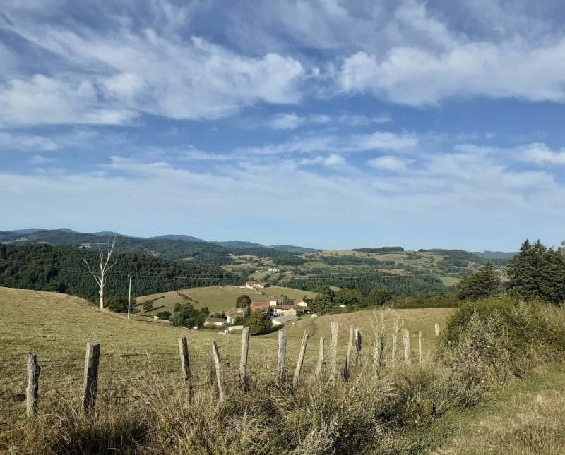 Forêt de Tramayes par Ardillats - Tramayes