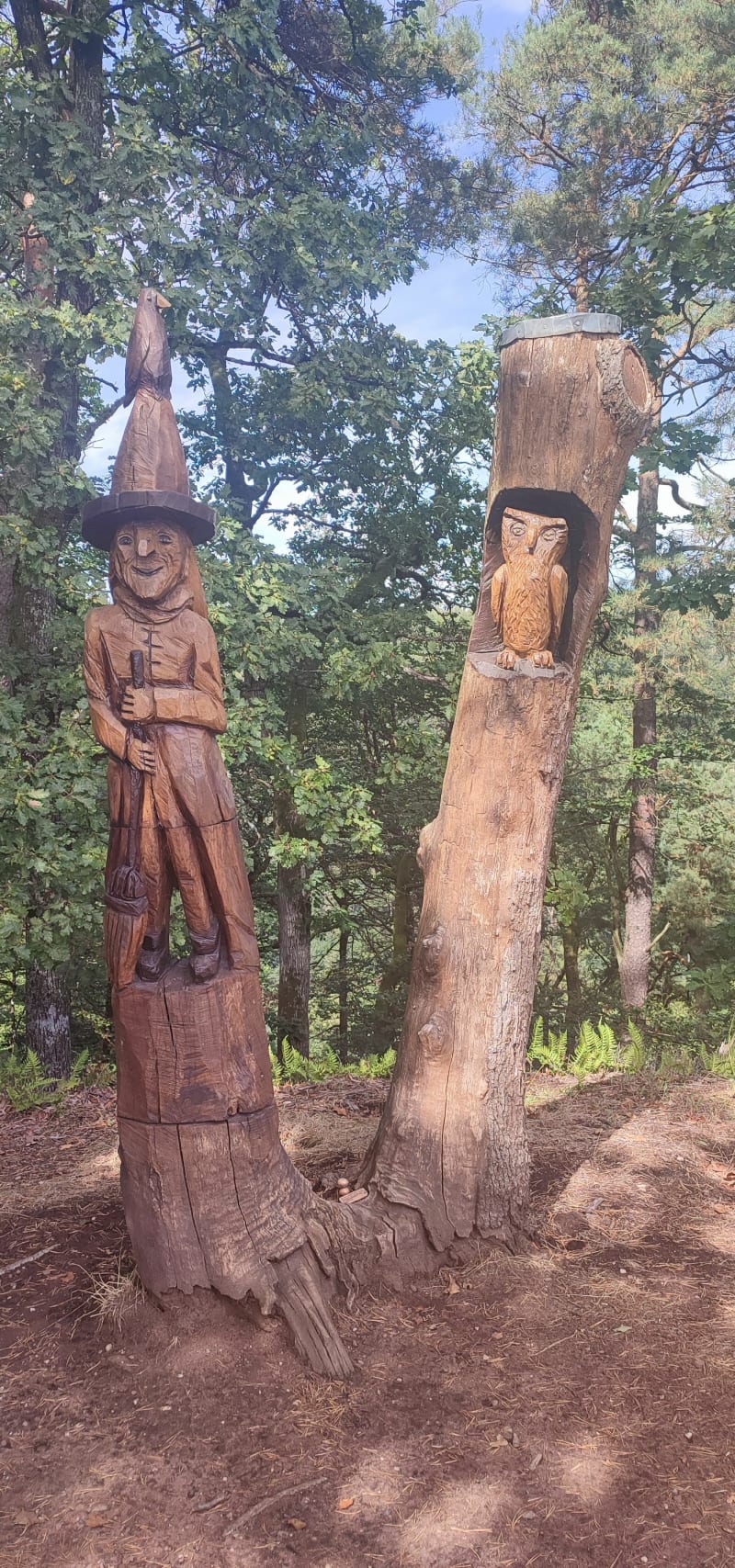Sentiers des Sorcières et St-Michel - Saint-Jean-Saverne