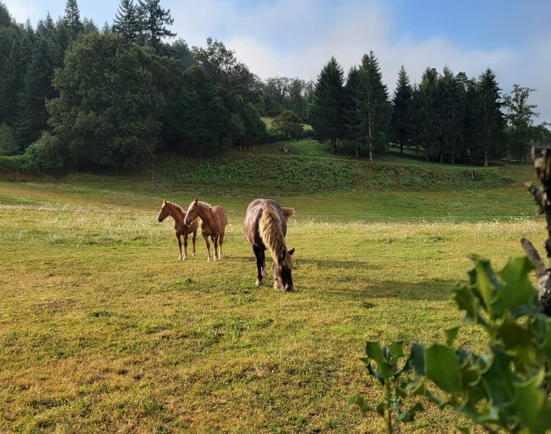 Rando autour de Rouffiac - Rouffiac