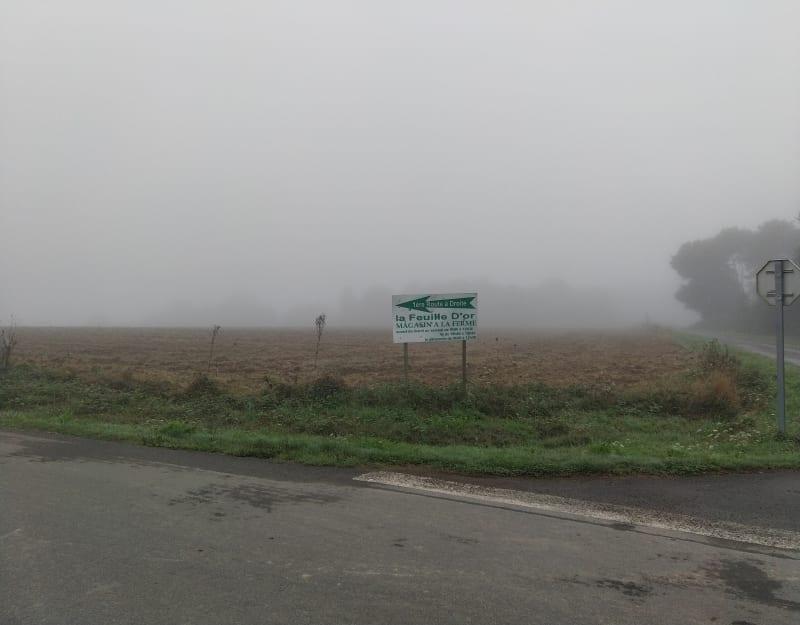 Balade un peu sportive sur route et chemin autour de Guer - Guer