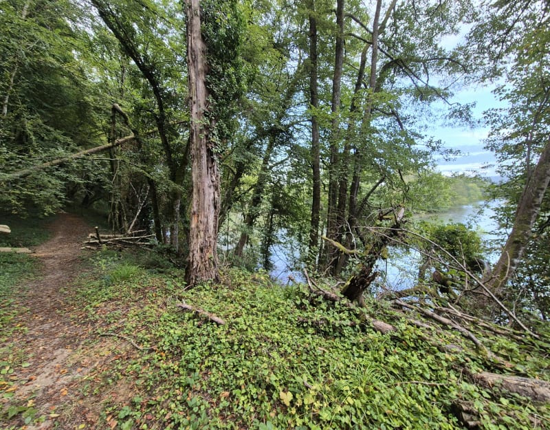 Balade en bordure de l'Ognon - Vieilley