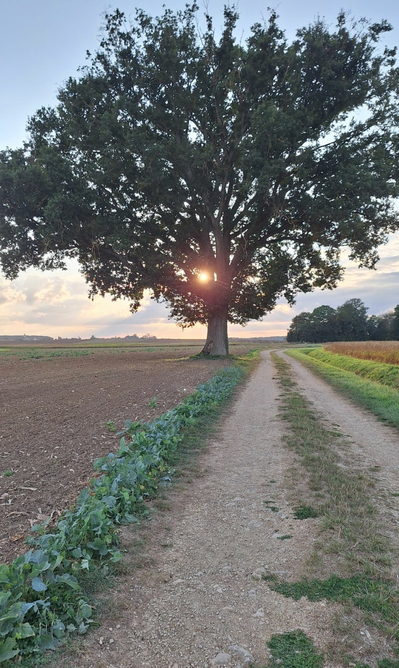 Autour de Belleneuve - Belleneuve