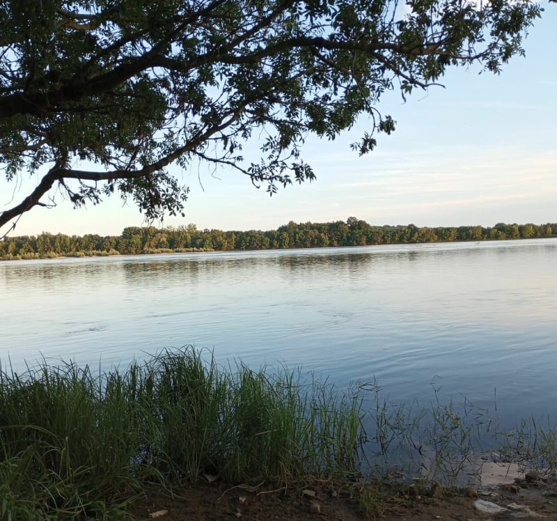 Autour de la Loire à La Daguenière - Loire-Authion