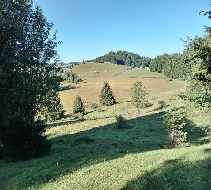 Boucle des Creusates et croix des Bergers - Montcel