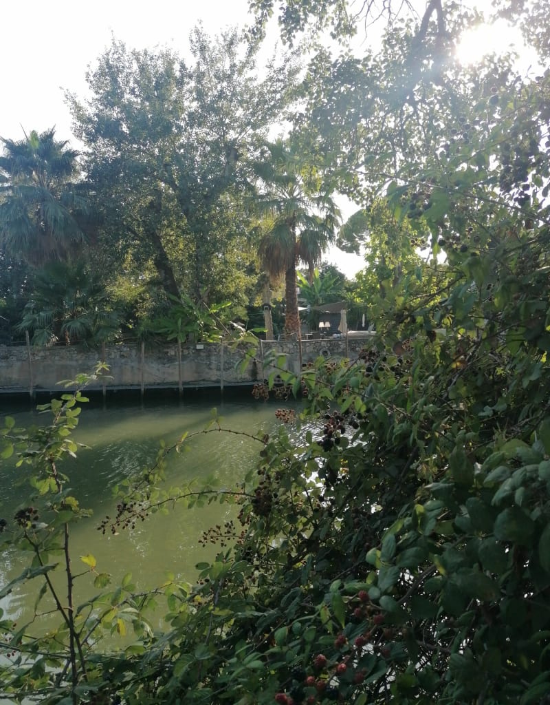 Les rives du Loup côté Cagnes - Cagnes-sur-Mer