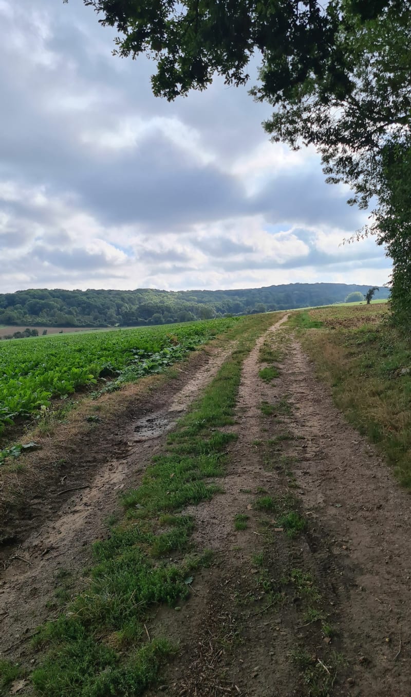VTT  forêt de Montmorency depuis Villiers Adam - Villiers-Adam