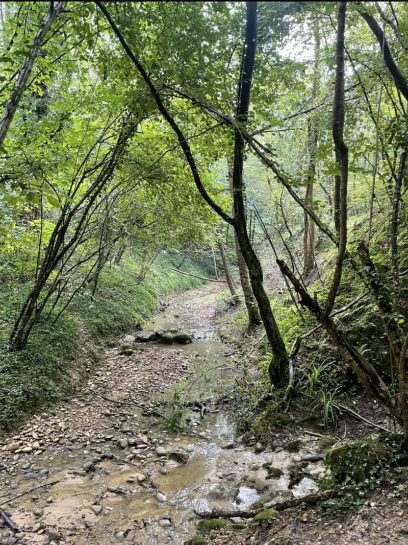 Le ruisseau de la Gerbole depuis les Côtes d'Arey - Les Côtes-d'Arey