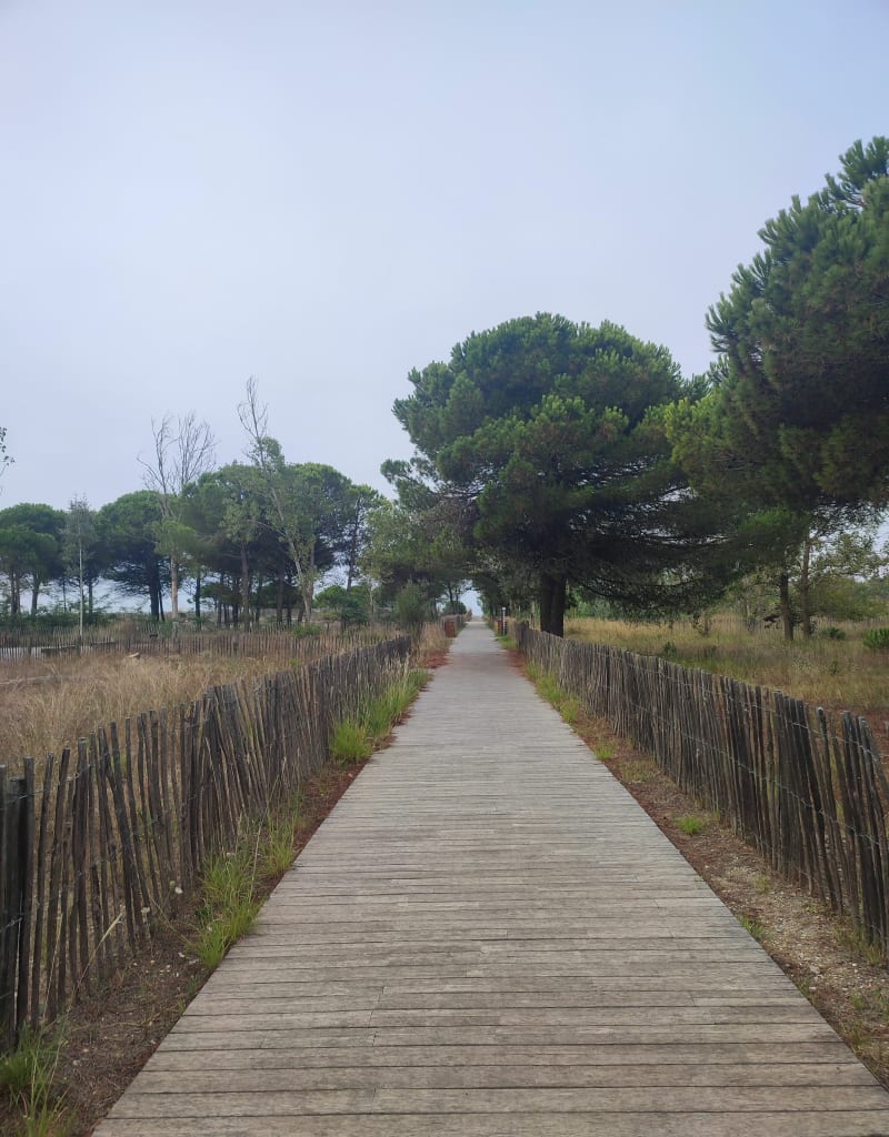 Le Grau-du-Roi et son bord de mer - Le Grau-du-Roi